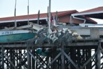 20211223_LAWATAN KPNM KE SEAWEED LATO FARMING